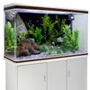 AWERT Vinyl Underwater Aquatic Plant Fish Tank Background Stone River