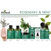 Difeel Rosemary and Mint Premium Hair Oil with Biotin 7.1