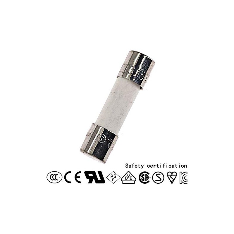 10PCS Ceramic fuses T3.15AH250V Slow-Blow 5x20mm/0.197"x0.787" 3.15AMP 250V (T3.15A)