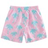 Cozople Big Boys Quick Dry UPF50+ Beach Swim Trunks with