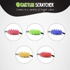 Cactus Scratcher Travel Mini Back Scratcher with 2 Sides Featuring