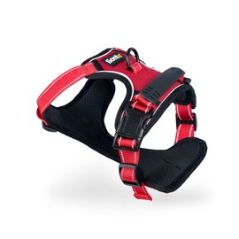 lionto Padded Dog Harness Made of Soft Nylon, Size M, Reflective Anti-Pull Harness for Dogs with 2 Rings and 4 Adjustment Straps, Two Click Fasteners & Rubberised Handle on the Back, Red