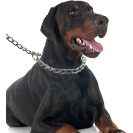 American Made Stainless Steel Dog Chain Collar Slip and Martingale Chain for Dogs Chew Proof Choke Chain for Dogs Anti Winding, Heavy Duty Dog Chain Collar - Made in USA with Smooth Chrome Finish