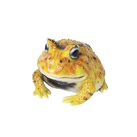 レプティスマグ ホーンドフロッグ (ツノガエル) イエロー 5.5×7×5.5cm