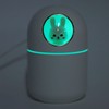 Humidifier Aroma Diffuser USB Power Supply 300ml Capacity Auto Shutdown