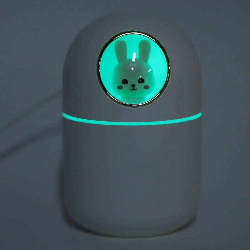 Humidifier Aroma Diffuser USB Power Supply 300ml Capacity Auto Shutdown