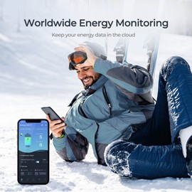 Renogy ONE Core: All-in-one Off-Grid Energy Monitoring Panel, Battery Monitoring for Van, Cabin, Boat and Tiny Homes, Works with Renogy Energy Devices, Wi-Fi Version, Black