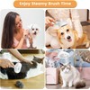 Cat Steam Brush 3 in 1 Cat Brush with Steam