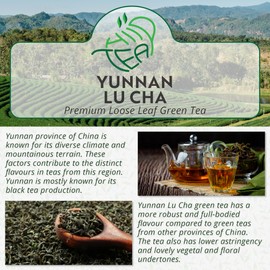 Yunnan Lu Cha Loose Leaf Green Tea – Premium Chinese Green Tea – Robust and Aromatic (175g)
