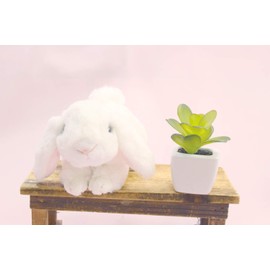 Takeoff Rabbit Maron Holland Drop White