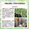 Natural Cosmetics Research Institute, Moon Peach, 100% Pure Solution, Preservative-free,