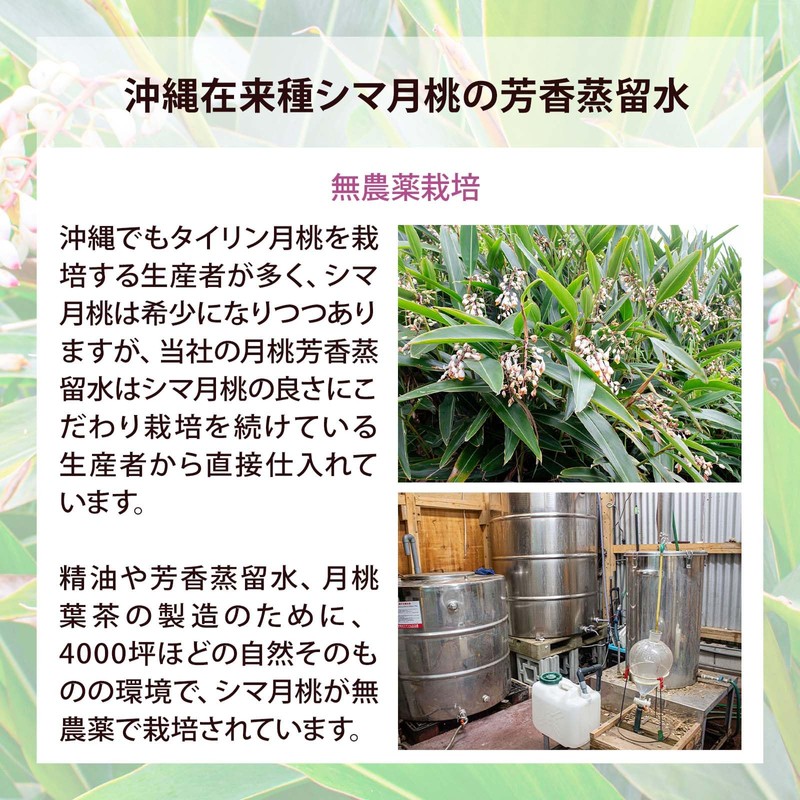 Natural Cosmetics Research Institute, Moon Peach, 100% Pure Solution, Preservative-free,