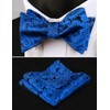 Alizeal Mens 2pcs Paisley Jacquard Self-Tie Bow Tie Pocket Square