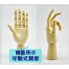 木製 デッサン ハンド モデル 手 マネキン ディスプレイ 参考デッサンカット付き (女性・両手)