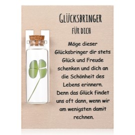 Hestya Lucky Charm Gifts Real Four Leaf Clover in Glass for Colleague Girlfriend Gift Idea for Any Occasion Wish Filler Gifts for Christmas Birthday Wedding Mother's Day