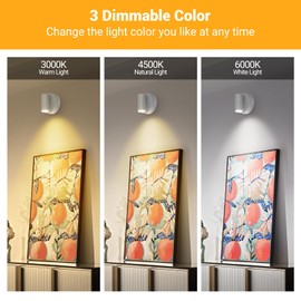 2 Pack Wireless Spotlights Indoor with Remote Up Lights Indoor Picture Light Battery Operated Spot Lights with 3 Color Dimmable Uplighting Stick on Wall Light for Plant Artwork White