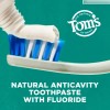 Toms Of Maine Toothpaste Whole Care Peppermint 113g