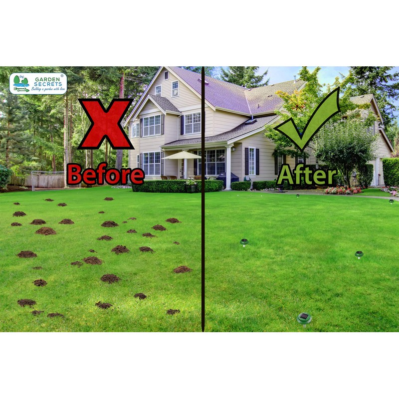 GARDEN SECRETS (2 Pack) Professional Solar MOLE & Snake Repellent,