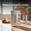Creatina Monohidratada 120 Tomas B Life