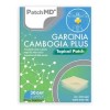 Garcina Gambogia Patch Parches Reduce Medidas Pack De 30 Pzs