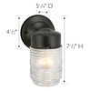Design House 2-Pack Jelly Jar Wall Light, Indoor or Outdoor,