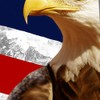 Eagle on USA Flag Tie
