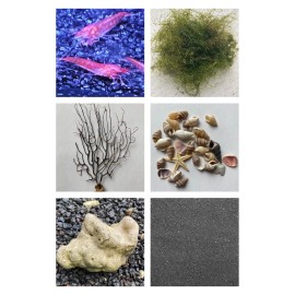Shrimp Ecosphere DIY Kit - 10 Opae Ula, Sea fan Coral, Macro Algae, Substrate +