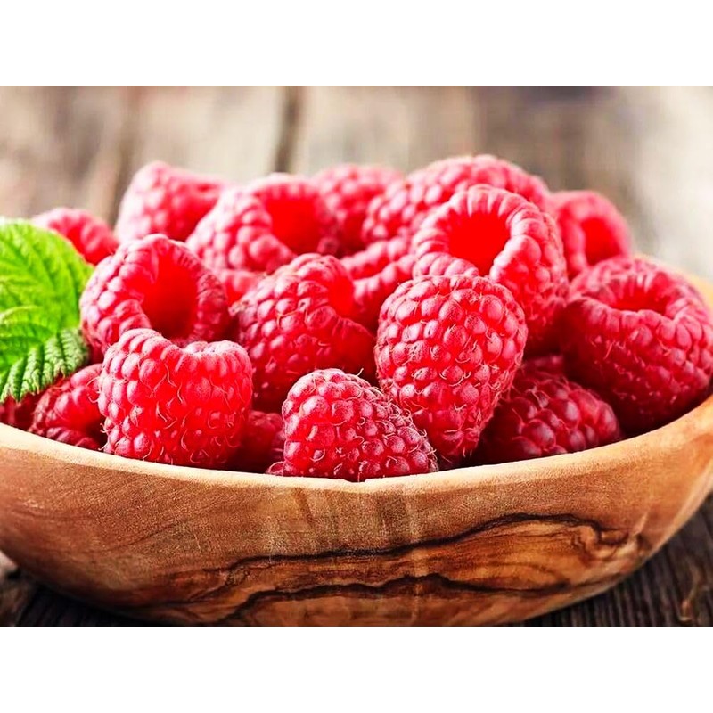 Red Raspberry Seeds for Planting 100+ Pcs Seeds Heirloom Non-GMO