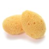 Rosy Rosa Natural Sea Cotton Sponge, Small, Pack of 2,