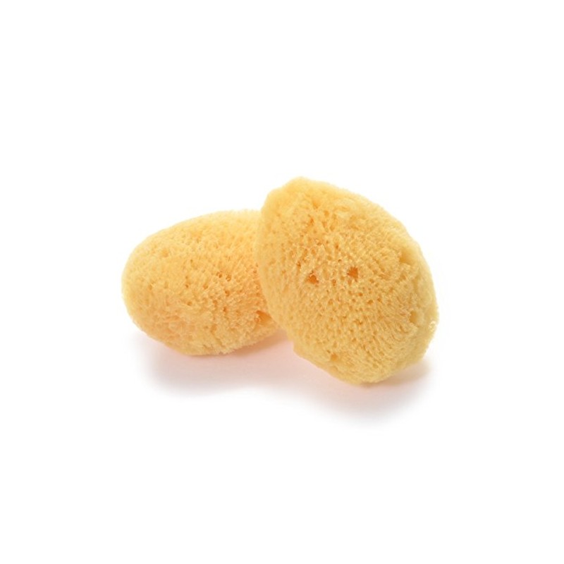 Rosy Rosa Natural Sea Cotton Sponge, Small, Pack of 2,