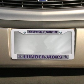 Rico Industries Stephen F Austin Plastic Frame