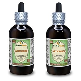 Artichoke (Cynara scolymus) Glycerite, Organic Dried Leaf Alcohol-Free Liquid Extract (Brand Name: HerbalTerra, Proudly Made in USA) 2x4 fl.oz (2x120 ml)