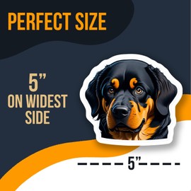 Rottweiler Dog Sticker - Cute Pet Decal - Animal Art Sticker for Laptop - Water Bottle Decal - Notebook Decoration - Dog Lover Gift - AAS0594