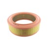 VAICO V30-0804 Air Filter