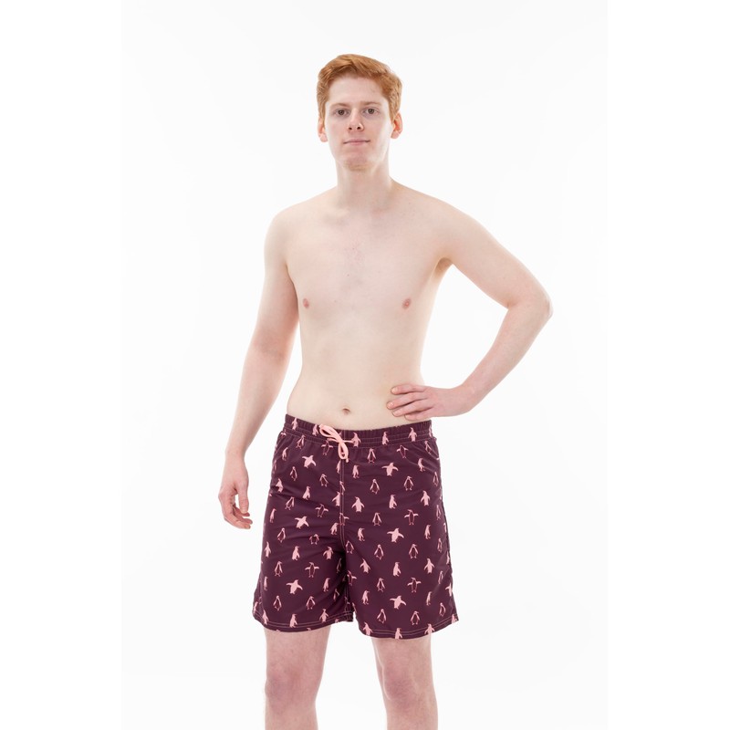 Kes-Vir Men's Penguin Board Eco-Shorts, with Built-in Waterproof Inner Briefs