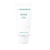 BRINGGREEN Zinc Teca Repair Cream 80ml Set (+Zinc Teca Serum
