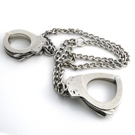 Smith & Wesson Transport Restraint