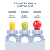 Silicone Baby Fruit Food Feeder (2 Pack) with Freezer Nibble