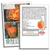 Orange Sun Bell Pepper Seeds (Capsicum annuum) – 100+ Non-GMO