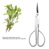 Bonsai Scissors Stainless Steel Leaf Bud Scissors Branch Cuttings Bonsai