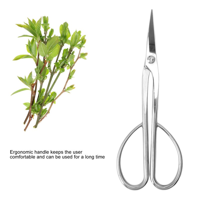 Bonsai Scissors Stainless Steel Leaf Bud Scissors Branch Cuttings Bonsai