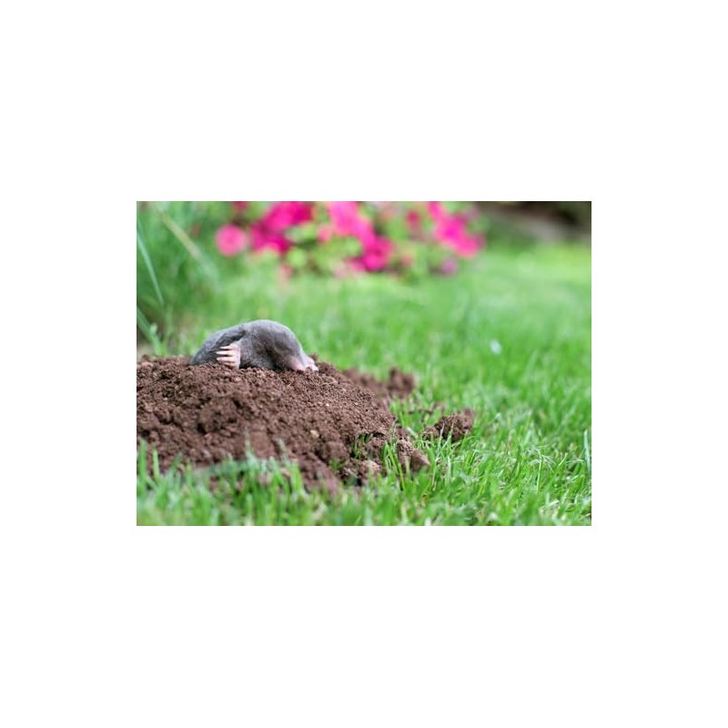 Epic Professional Mole Scram Repellent 10lb Bag