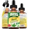 myVidaPure Basil Essential Oil 100% Pure Natural Undiluted 2 fl