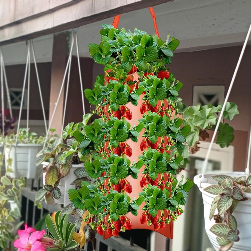 Strawberry Hanging Planter Upside Down,Tomato 4/8 Planting Holes Strawberry Grow