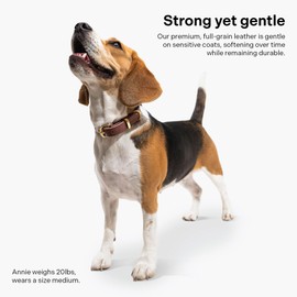 Scout Supply Classic Leather Dog Collar | Heavy Duty Thick Full Grain Leather | Waterproof & Rust-Proof Brass Hardware (Dark Brown, Large)