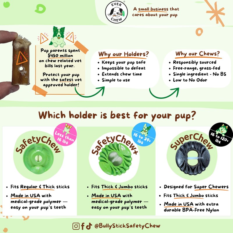 EverChew | Premium 6" Low-Odor Bully Stick Refill Packs –