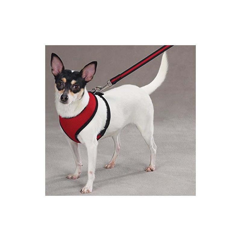 Casual Canine Mesh Dog Harness, Small, Red