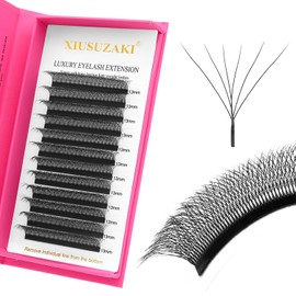 XIUSUZAKI XIUSUZAKI W Lash Extensions Supplies 6D Eyelash Extensions W Shape 0.07mm Thickness C Curl 10mm Premade Fans Easy Fan Lashes Volume Matte Black 12 Rows Crisscross Eye Lashes(W-6D-0.07-C,10mm)