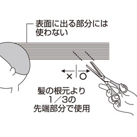 貝印 sanpatusetto Cut & Skillet Scissors & Comb Set with Cap