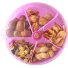 Coehaopike Parrot Foraging Wheel Toy - Interactive Treat Puzzle Feeder
